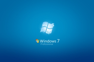 Windows 7 Professional682521689 300x200 - Windows 7 Professional - Windows, Professional, nVIDIA